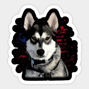 American USA Flag Husky Love, Trendy Tee for Dog Devotees Sticker